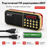 Портативный радиоприемник MP3/FM B837 с USB / Миниатюрное радио с аккумулятором (B837-AV)