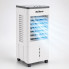 Напольный охладитель DKNS DH2025-01A 10л/3800w