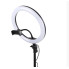 Светодиодная профессиональная кольцевая лампа LED SOFT RING LIGHT FL10 D 26 см Ring (Ring26-AV)