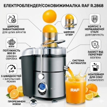 Блендер-соковыжималка RAF R.2868 800 Вт с 5 скоростями и импульсным режимом (RAFR2868-AV)