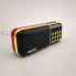 Портативный радиоприемник B851SS с FM-тюнером, LED-дисплеем, microSD, USB и разъемом для наушников (B851SS-AV)
