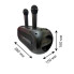 Портативная Bluetooth-колонка ZQS4247 16 Вт с 2 беспроводными микрофонами, караоке, USB, TF, FM, AUX (ZQS4247-AV)