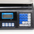 Электронные торговые весы Crystal CT-500 со счетчиком цены до 50 кг (CT500-AV)