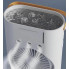 Вентилятор настольный двойной с охлаждением Double-ended Spray Fan, LED-подсветкой, пультом и 3 скоростями (DFL812-AV)