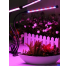 Ультрафиолетовая лампа для растений j22wl-03 LED LIGHT Полный спектр 3 головы LED(J22WL-AV)