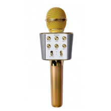 Микрофон караоке с USB, microSD, AUX, FM, Bluetooth со встроенной колонкой 6 Вт WSTER Gold Original (WS-1688)