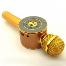 Детский беспроводной аккумуляторный караоке микрофон Wster с колонкой Bluetooth плюс светомузыка Золотой (WS-668)