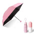 Карманный зонт портативный мини зонтик в капсуле FAIRY SEASON Розовый