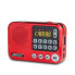 Портативный радиоприемник BKK S99 USB/MP3 с FM-тюнером, LED-дисплеем и разъемом для наушников (S99-AV)