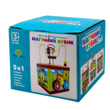 Ігровий набір сортер з лабіринтом Куб MD0880 дерево 4 фігури різнобарвний (RZN-23104025)