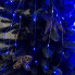 Світлодіодна гірлянда-нитка мідний дріт Кінський хвіст 200 LED Magic Lights крапля 2 м синій (RZN-23092396)