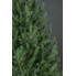 Искусственная елка Arts Pine Лесная Венская 150 см Полипропилен с металлической подставкой Зеленый (SG-115)