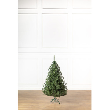 Ялинка лита 