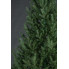 Искусственная елка Arts Pine Лесная Венская 210 см Полипропилен с металлической подставкой Зеленый (SG-117)