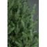 Искусственная елка Arts Pine Лесная Венская 230 см Полипропилен с металлической подставкой Зеленый (SG-118)