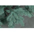 Елка искусственная новогодняя Arts Pine Лесная Коваливская 250 см литая полипропилен с металлической подставкой Голубой (SG-128)