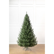 Ялинка лита Ялинка лита