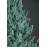 Искусственная елка Arts Pine Лесная Венская 210 см Полипропилен с металлической подставкой Голубой (SG-5095)