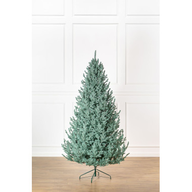 Ялинка лита 