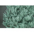 Искусственная елка Arts Pine Лесная Венская 250 см Полипропилен с металлической подставкой Голубой (SG-6190)