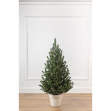 Искусственная елка Arts Pine Лесная Венская 90 см Полипропилен в горшке пластик Зеленый (SG-7900)
