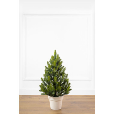 Ялинка лита 