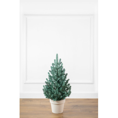 Ялинка лита 