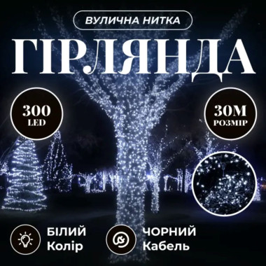 Гірлянда Нитка вулична 30 (м) 300 LED чорний провід Білий CF300L30MBW (LG-CF300L30MBW)