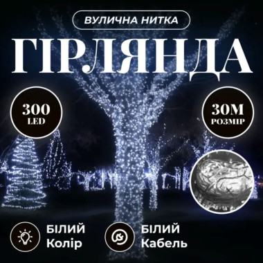 Гірлянда Нитка вулична 30 м 300 LED білий провід Білий CF300L30MWW (LG-CF300L30MWW)