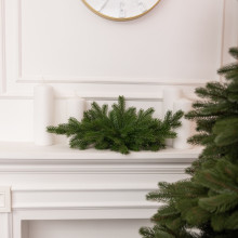 Новорічна хвойна гірлянда лита зелена Північна зірка 60*35 см TD-NSTGR1 (LG-TD-NSTGR1) Новорічна хвойна гірлянда лита зелена Північна зірка 60*35 см TD-NSTGR1 (LG-TD-NSTGR1)