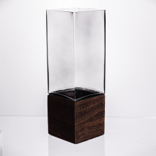 Ваза для квітів квадратна скляна 10×10×30 (см) декоративна HP-19-160-4 (LG-HP-19-160-4) Ваза для квітів квадратна скляна 10×10×30 (см) декоративна HP-19-160-4 (LG-HP-19-160-4)
