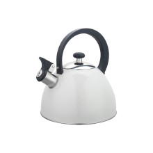 Чайник нержавеющий Maestro 2.5л белый